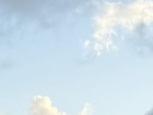 IMG_2702 Woman standing on a deck overlooking a pool and the ocean with her head thrown back and a big laugh/smile on her face, She is wearing a short black and white dress.